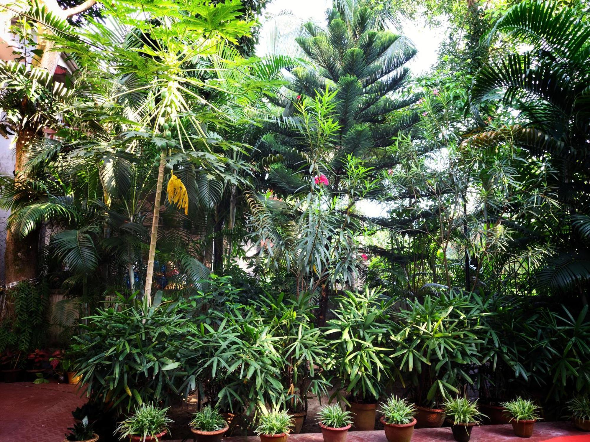 Chaiti Eco Homestay- Santiniketan Bolpur Buitenkant foto