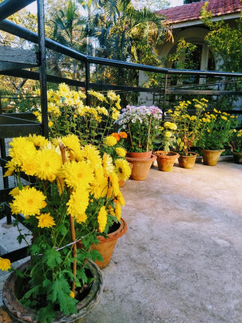 Chaiti Eco Homestay- Santiniketan Bolpur Buitenkant foto